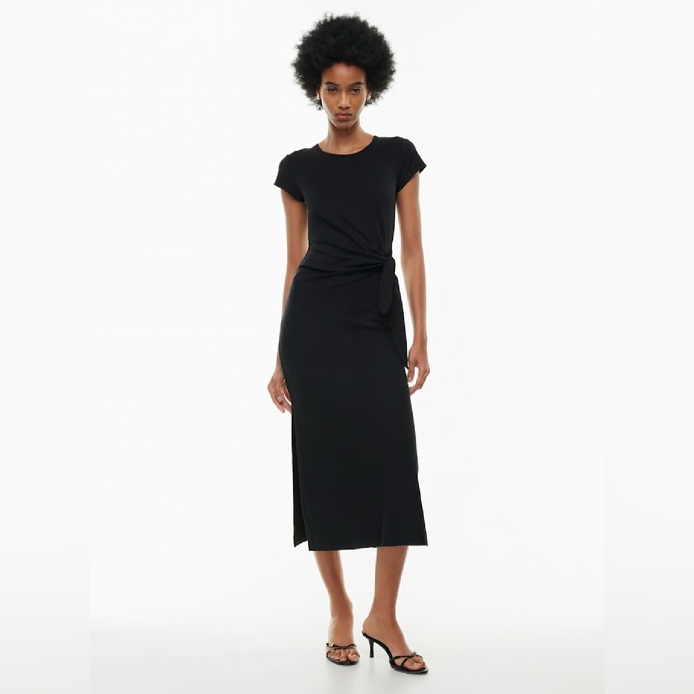 Aritzia Wilfred Fortune Maxi Dress